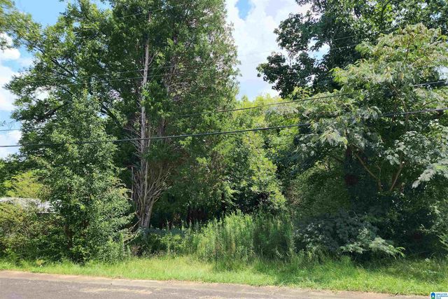307 2ND AVENUE, Mulga, AL 35118