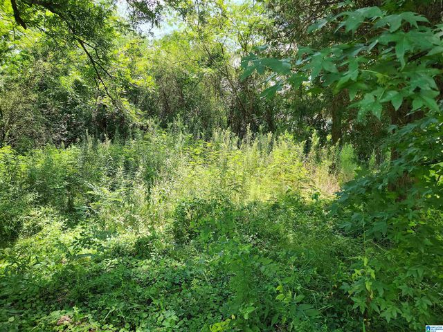 307 2ND AVENUE, Mulga, AL 35118