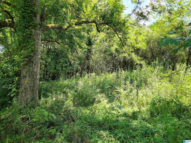 307 2ND AVENUE, Mulga, AL 35118