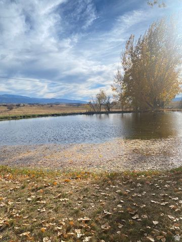 6890 E 17250 N, Mt Pleasant, UT 84647