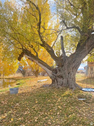 6890 E 17250 N, Mt Pleasant, UT 84647