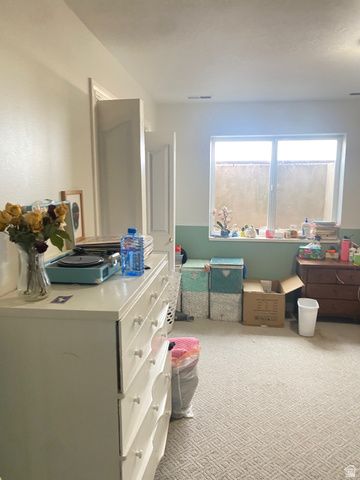 6890 E 17250 N, Mt Pleasant, UT 84647