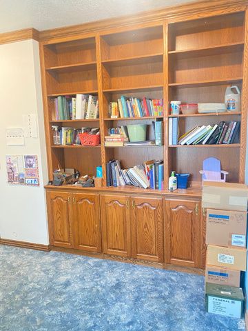 6890 E 17250 N, Mt Pleasant, UT 84647