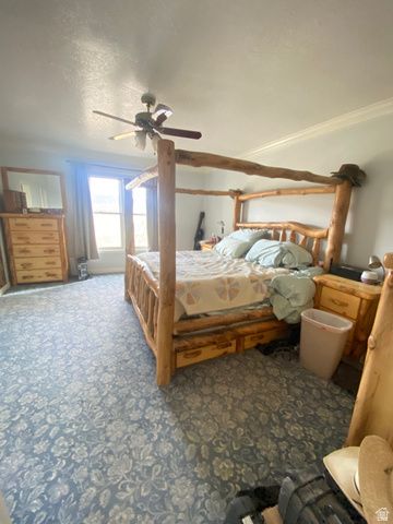 6890 E 17250 N, Mt Pleasant, UT 84647