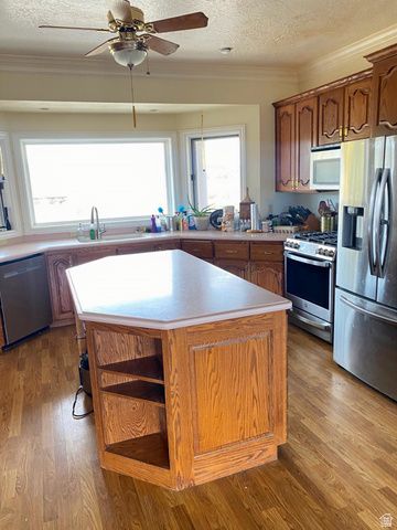 6890 E 17250 N, Mt Pleasant, UT 84647