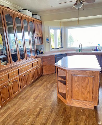 6890 E 17250 N, Mt Pleasant, UT 84647