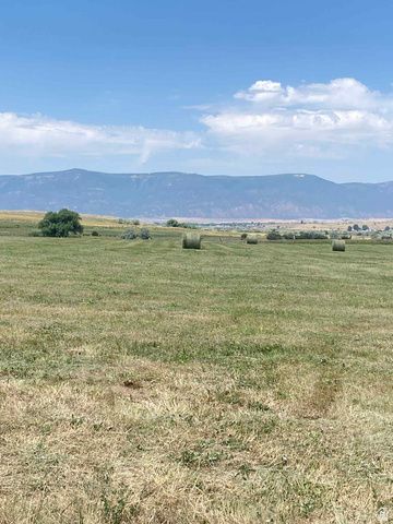 6890 E 17250 N, Mt Pleasant, UT 84647