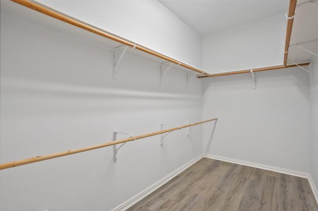 15902 Emerald Briar Lane, Houston, TX 77084