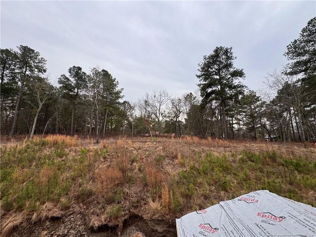 298 Rough Ridge Trail, Aberdeen, NC 28315