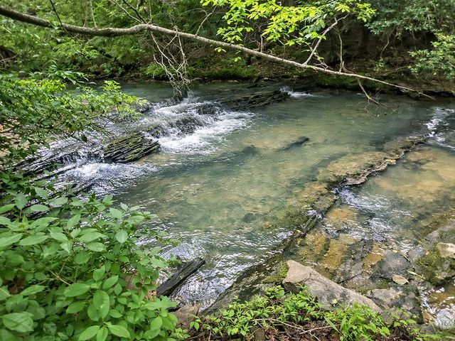 10AC Yonder Way, Talking Rock, GA 30175