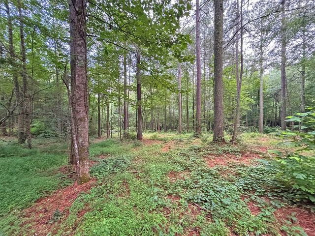 10AC Yonder Way, Talking Rock, GA 30175