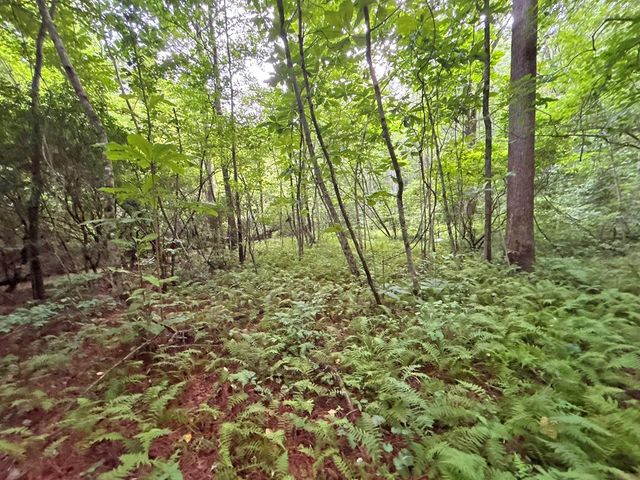 10AC Yonder Way, Talking Rock, GA 30175