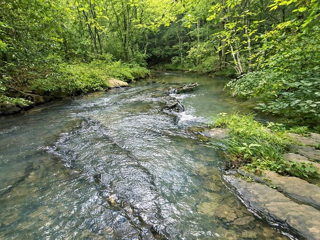 10AC Yonder Way, Talking Rock, GA 30175