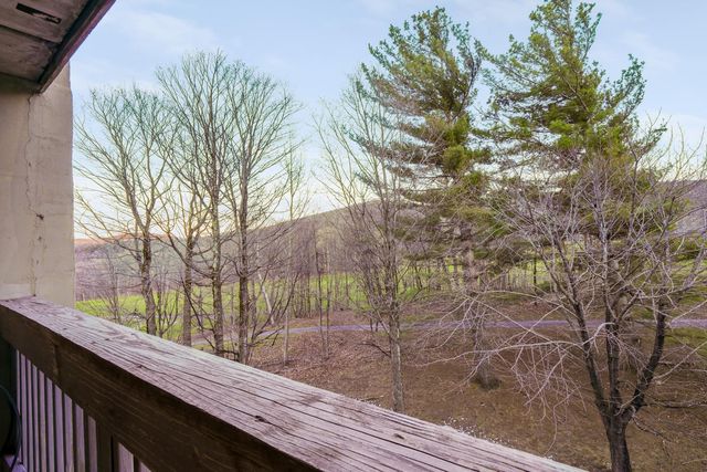 137 East Mountain Road IID02, Killington, VT 05751