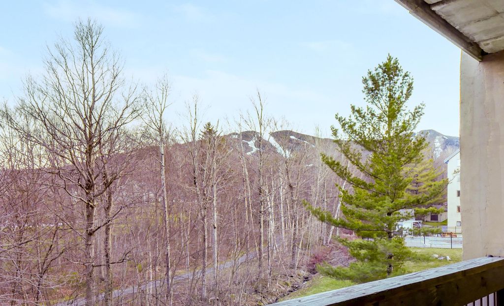 137 East Mountain Road IID02, Killington, VT 05751