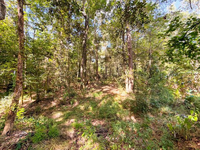 19124 Leicester, New Caney, TX 77357