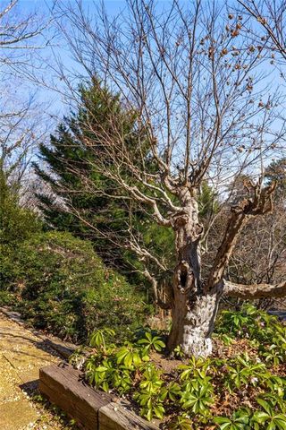 120 Overlook Drive, Gainesville, GA 30506