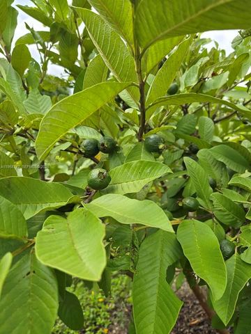 20520 SW 190th St, Miami, FL 33187