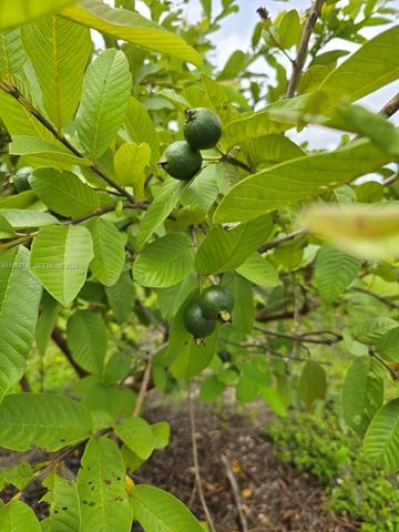 20520 SW 190th St, Miami, FL 33187