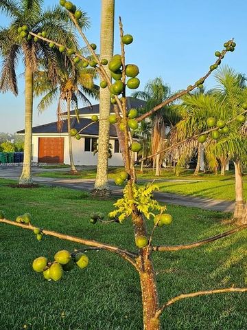 20520 SW 190th St, Miami, FL 33187