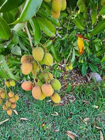 20520 SW 190th St, Miami, FL 33187