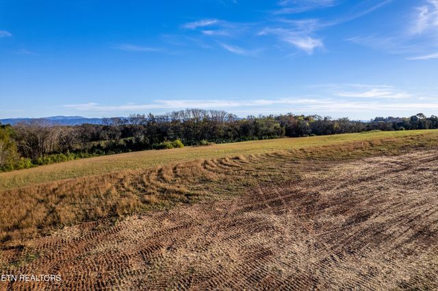 351 Meadow Rd, Greenback, TN 37742