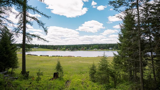56 Wagon Wheel Road, Whitefish, MT 59937