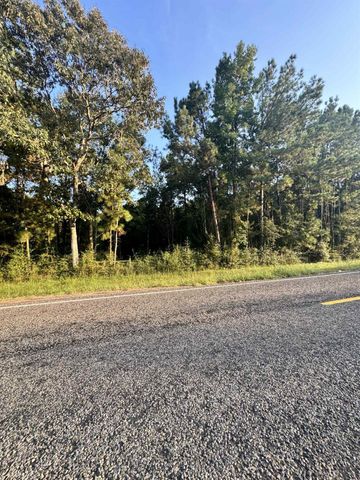 0 Fm-1127 Road, Shepherd, TX 77371