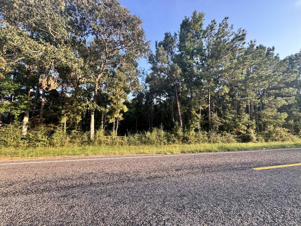 0 Fm-1127 Road, Shepherd, TX 77371