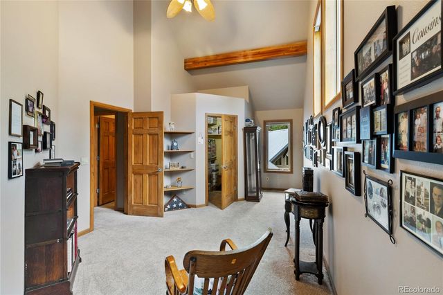 591 Skyline Drive, Woodland Park, CO 80863