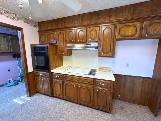 16009 S Rock Creek Road, Shawnee, OK 74801