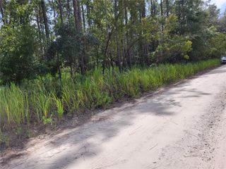 NE 78TH LANE, Bronson, FL 32621