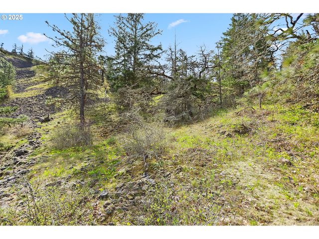 Asher Street 37, Mosier, OR 97040