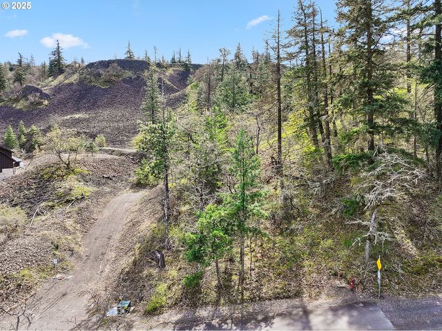 Asher Street 37, Mosier, OR 97040