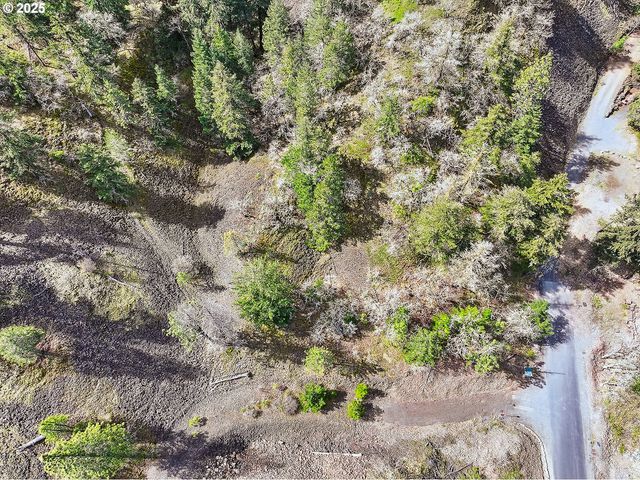 Asher Street 37, Mosier, OR 97040