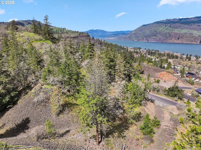 Asher Street 37, Mosier, OR 97040