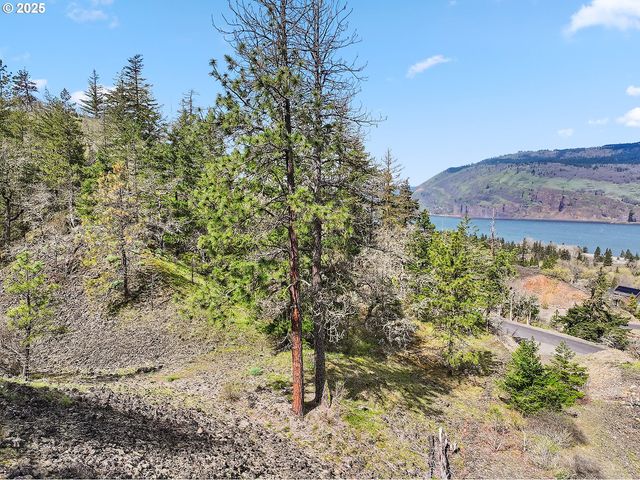 Asher Street 37, Mosier, OR 97040