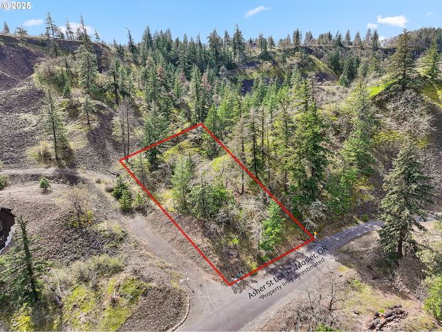 Asher Street 37, Mosier, OR 97040