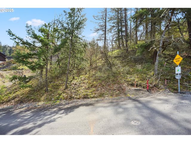 Asher Street 37, Mosier, OR 97040