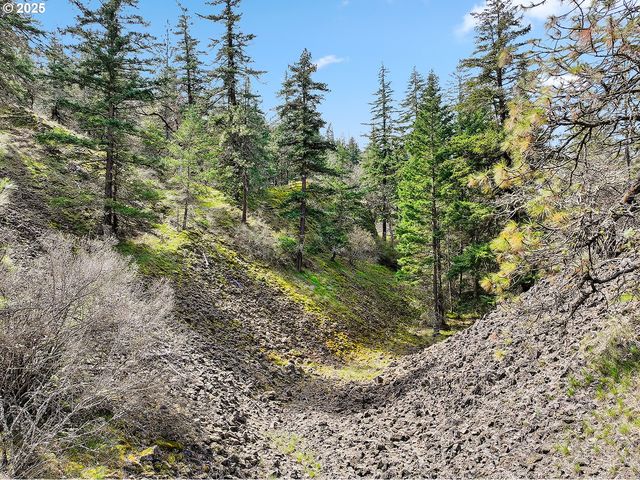 Asher Street 37, Mosier, OR 97040