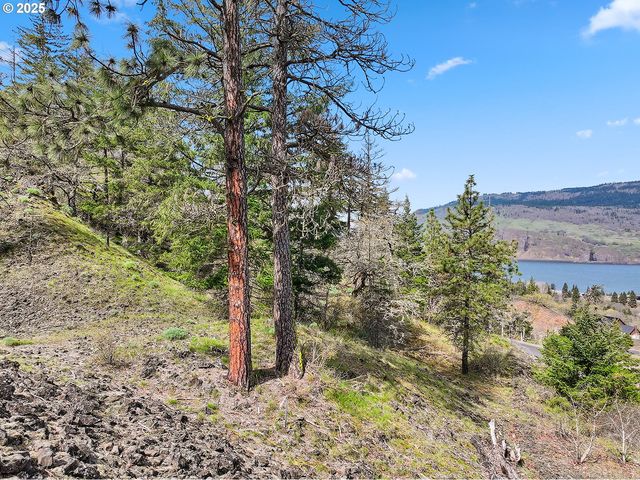 Asher Street 37, Mosier, OR 97040