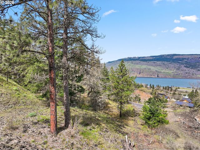 Asher Street 37, Mosier, OR 97040