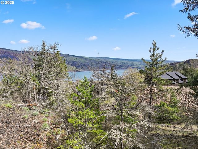 Asher Street 37, Mosier, OR 97040