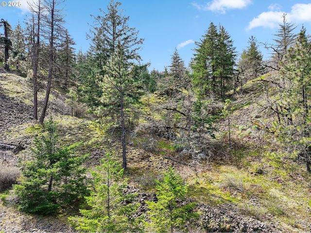 Asher Street 37, Mosier, OR 97040