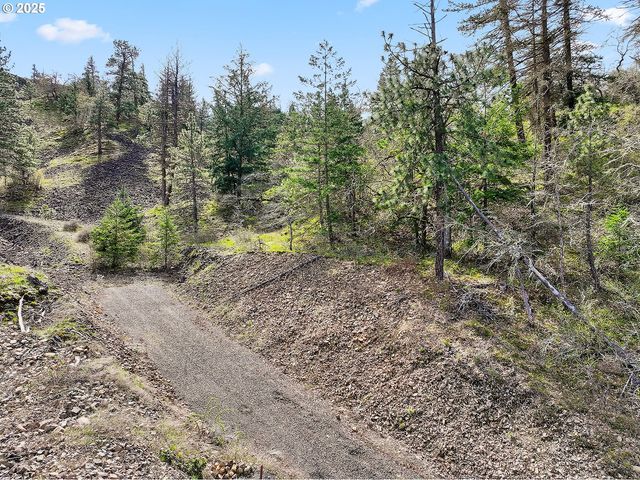 Asher Street 37, Mosier, OR 97040