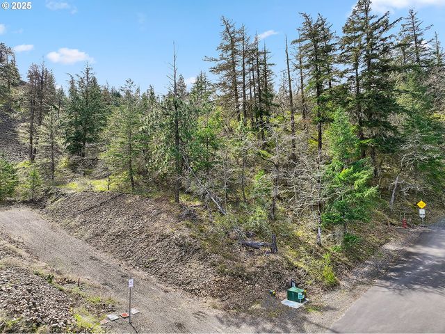 Asher Street 37, Mosier, OR 97040