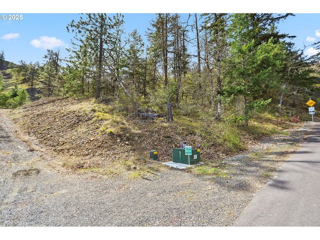 Asher Street 37, Mosier, OR 97040