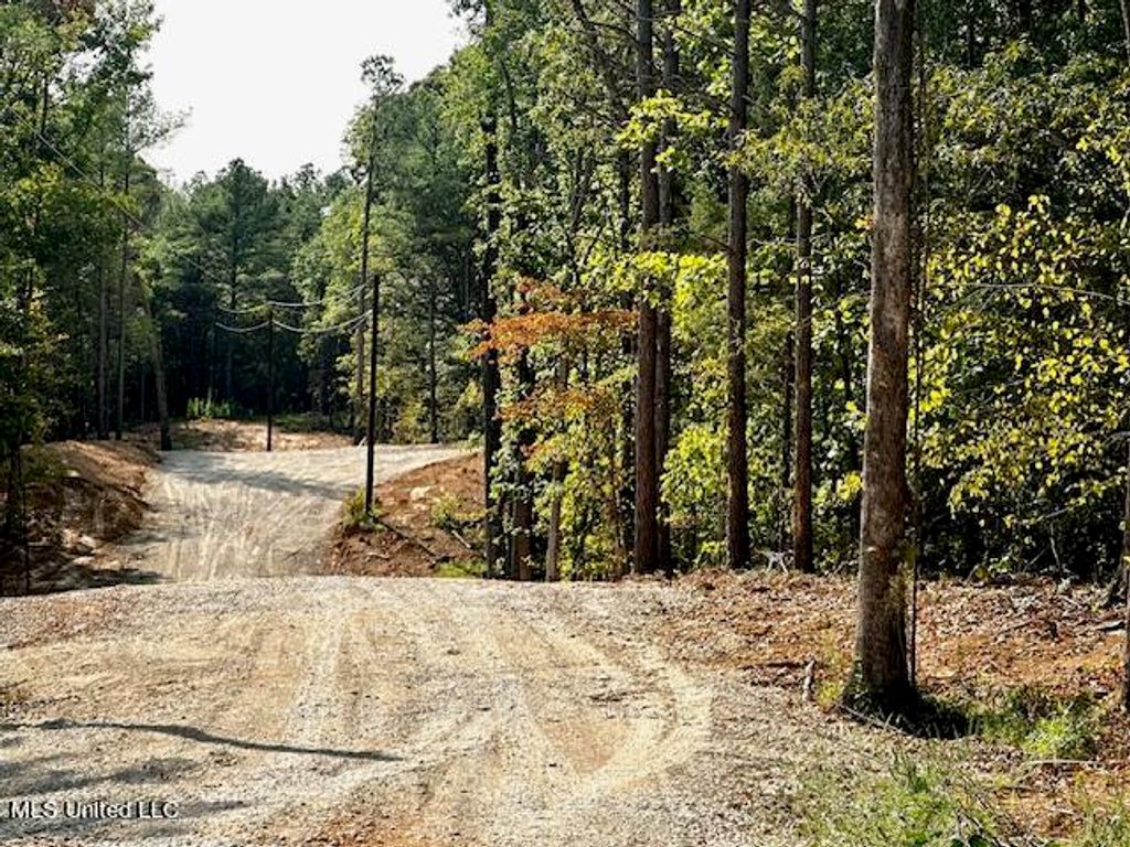 13999 Davenport Road, Byhalia, MS 38611 — photo 2