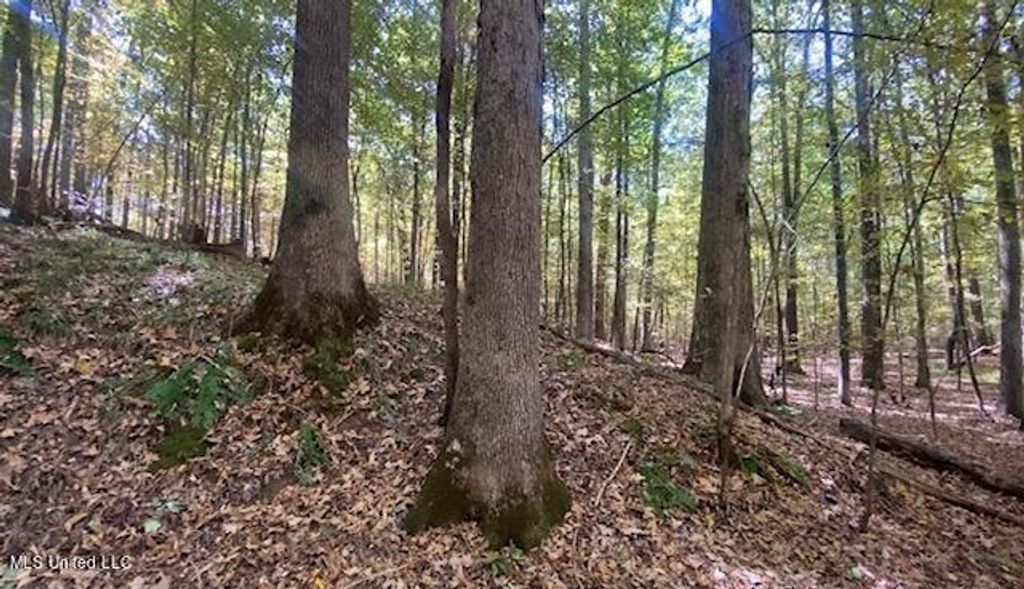 13999 Davenport Road, Byhalia, MS 38611 — photo 4