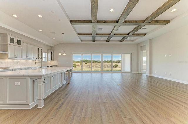 2058 ARCHING BRANCH DRIVE, Zephyrhills, FL 33541